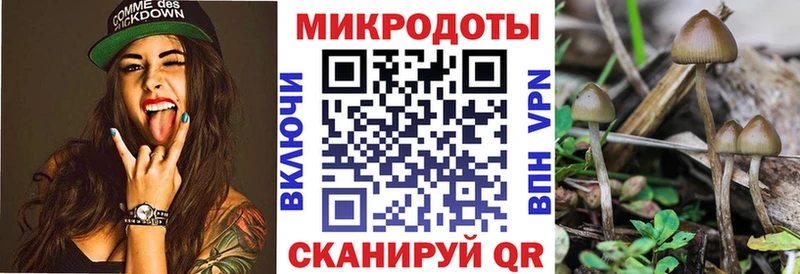 Купить  Усолье-Сибирское  Псилоцибиновые грибы MAGIC MUSHROOMS 